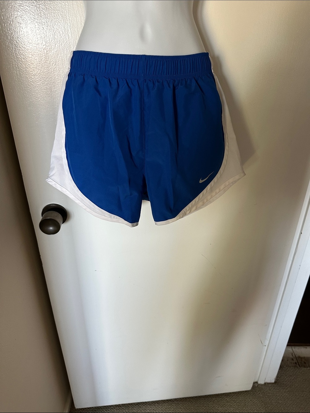 Nike Women’s Royal Blue and White Athletic Shorts
